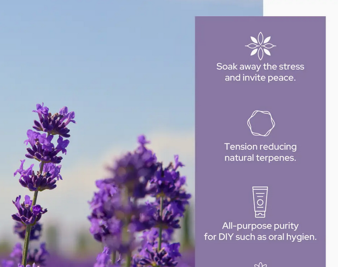 Lavender Essential Oil | Therapeutic Grade |