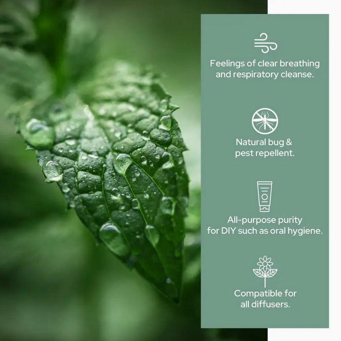 Pure Peppermint Essential Oil - Therapeutic Grade - Sizes