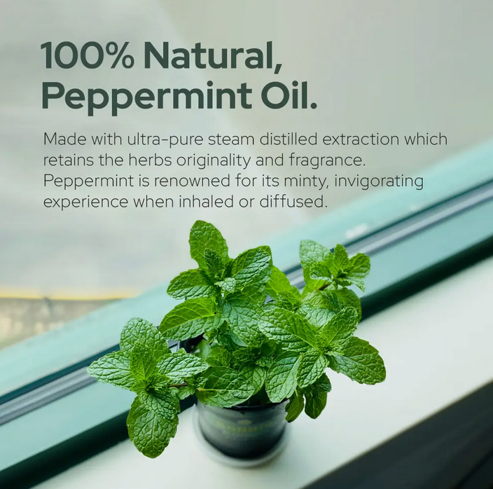 Pure Peppermint Essential Oil - Therapeutic Grade - Sizes