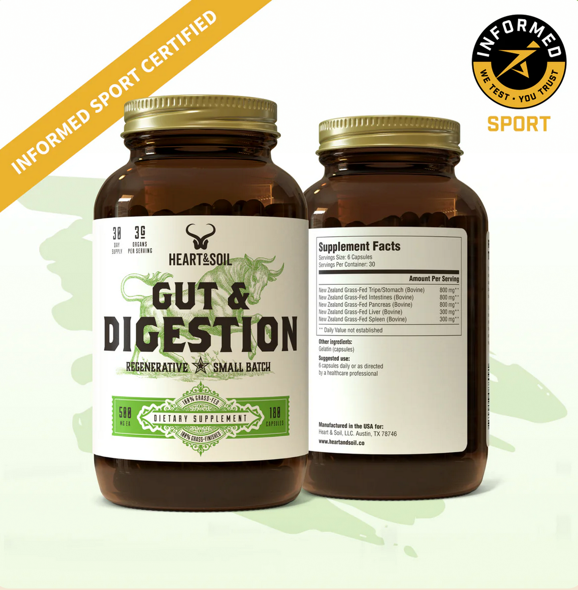 Gut & Digestion Heal your gut.