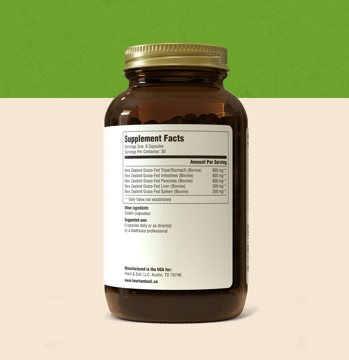Gut & Digestion Heal your gut.