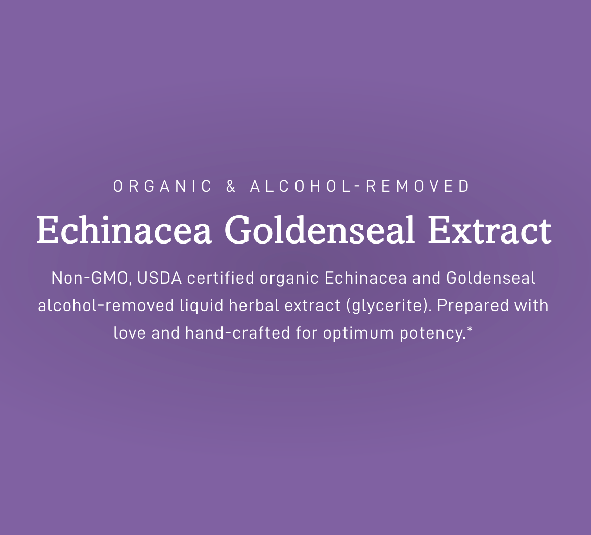Echinacea Goldenseal, Organic Alcohol-Removed Extract