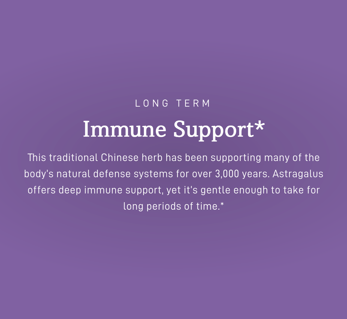 Astragalus Capsules - Long Term Immune Support