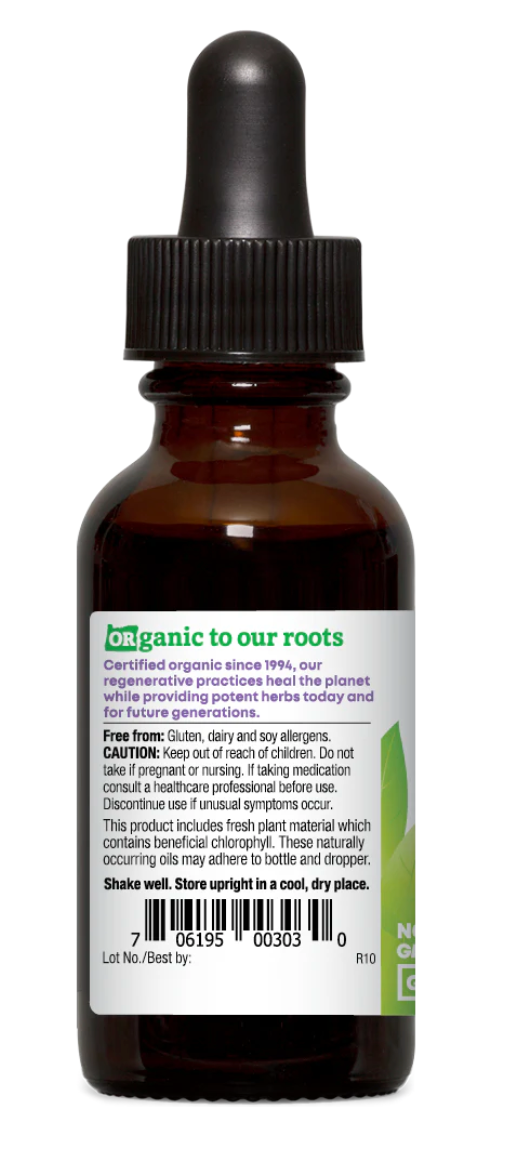Premium Echinacea, Alcohol-free - Raspberry