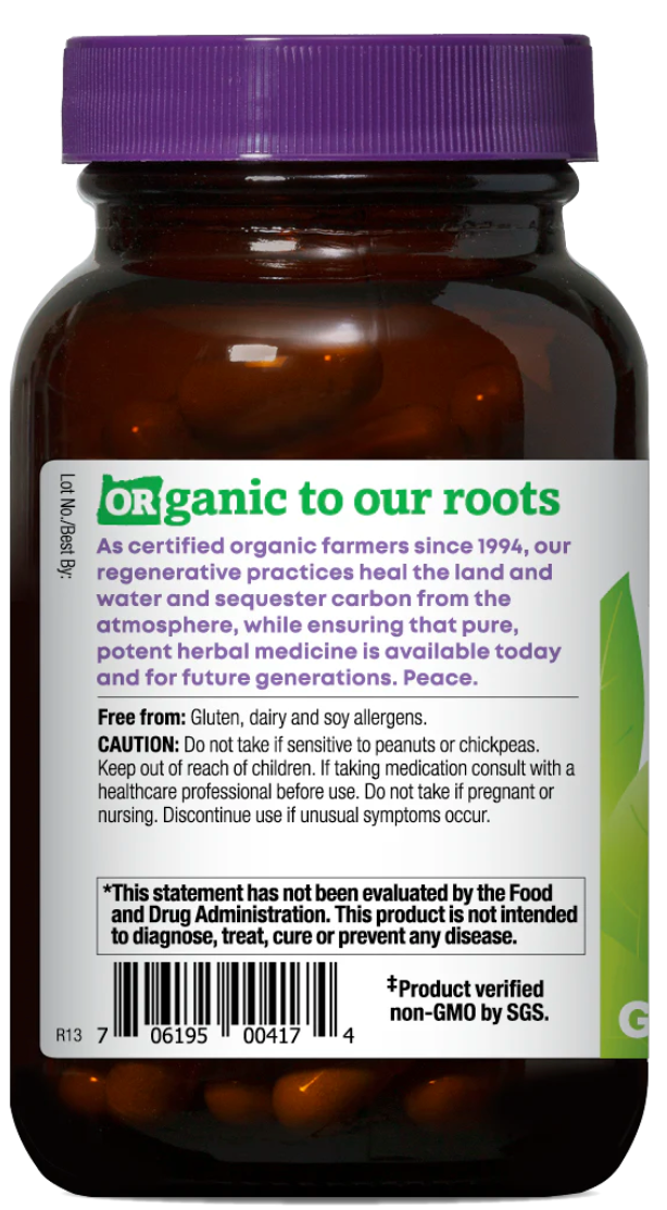 Astragalus Reishi Capsules - Harmonious Immune System Support