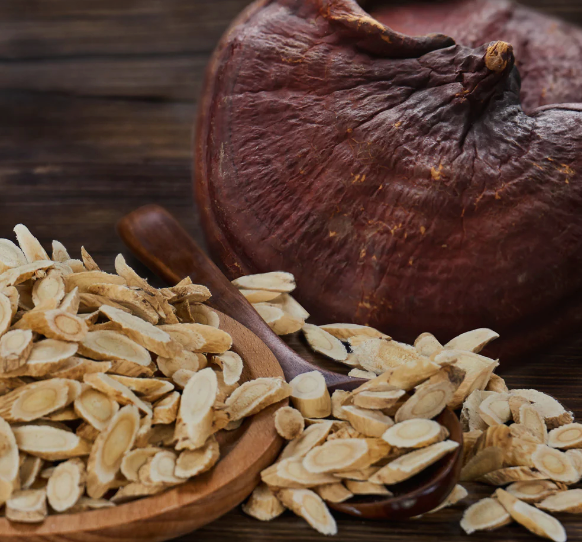 Astragalus Reishi Capsules - Harmonious Immune System Support