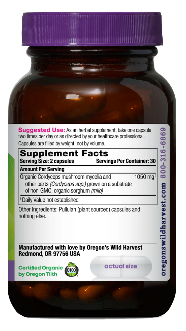 Cordyceps Capsules