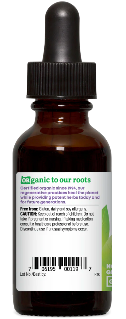 Ginger, Organic Extract