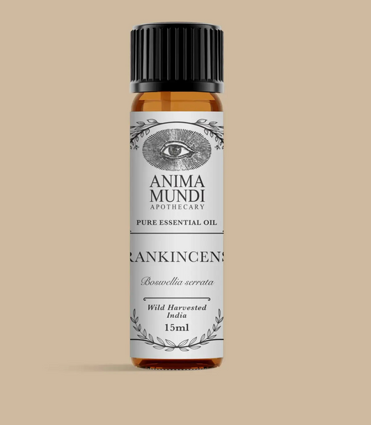 Frankincense Essential Oil | Wildcrafted