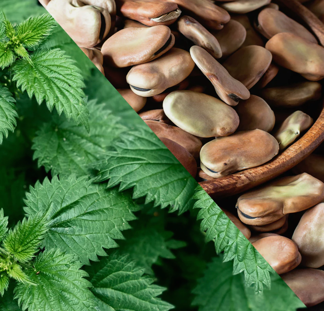 Nettle Quercetin Capsules