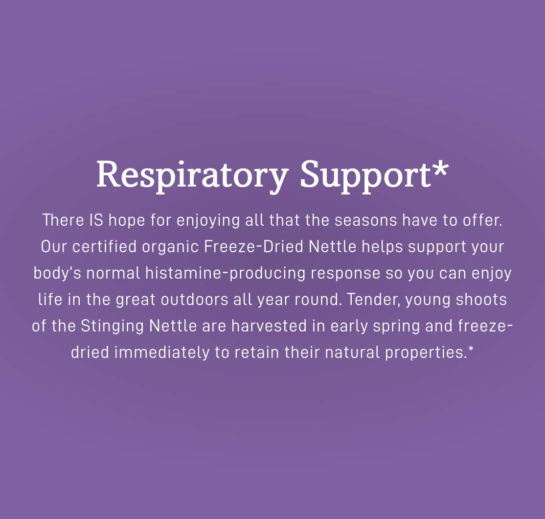 Freeze-Dried Nettle Capsules