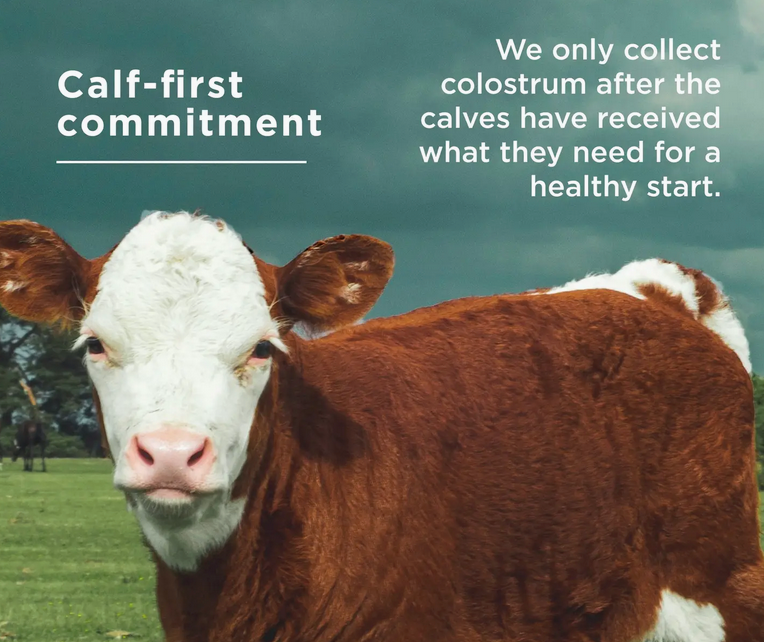 Colostrum | Powder Unflavored (60 Servings)