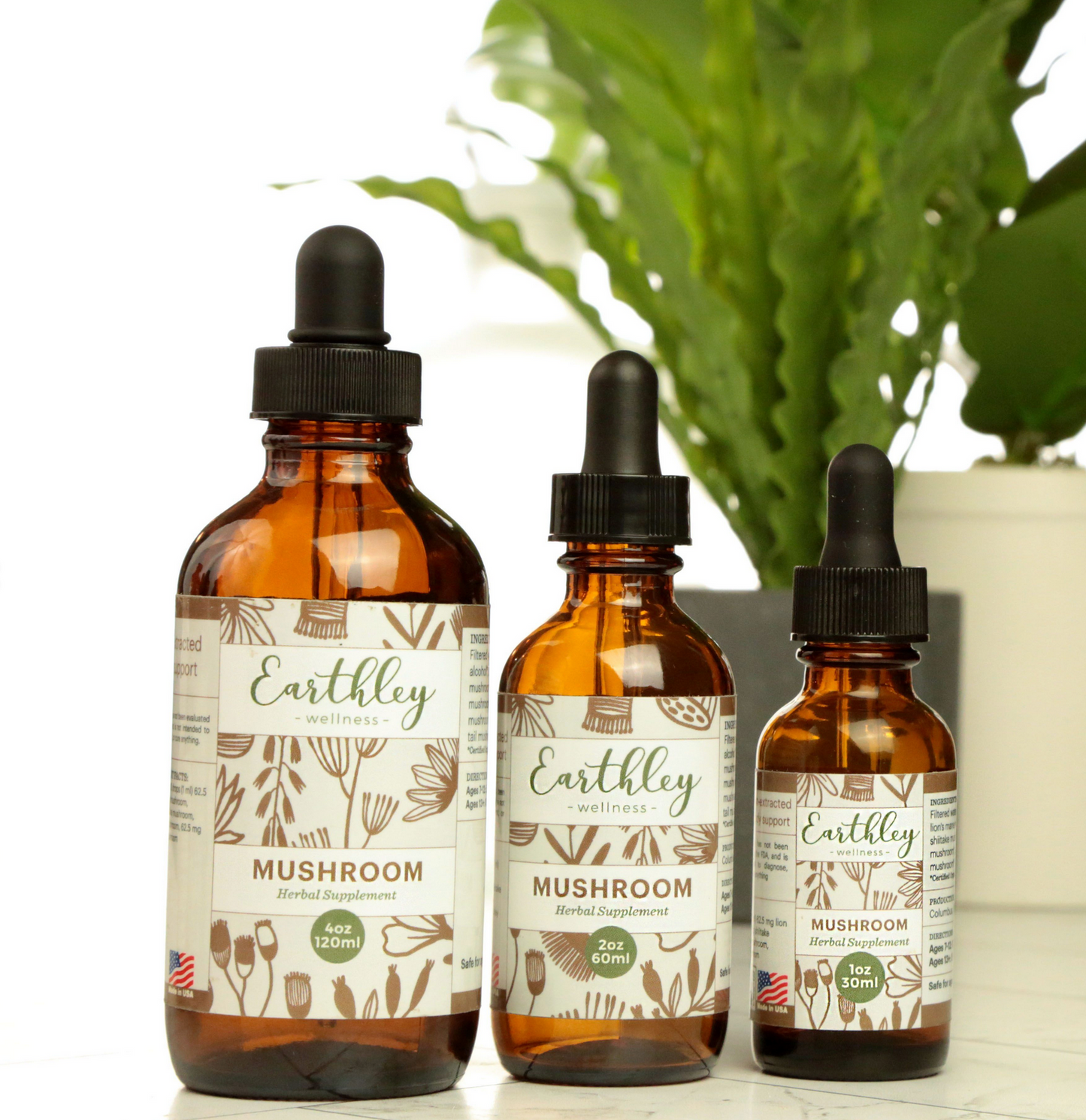 Mushroom Tincture For Brain and Immune Health