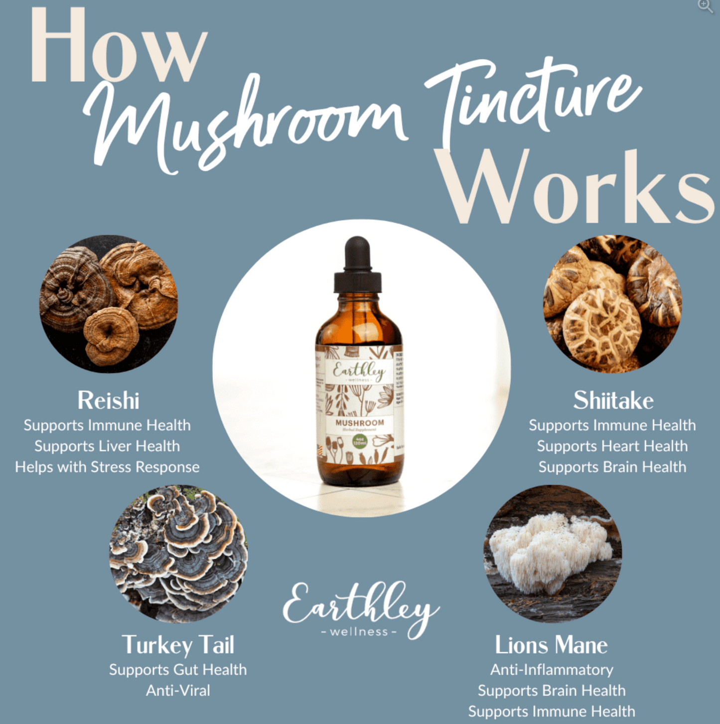 Mushroom Tincture For Brain and Immune Health