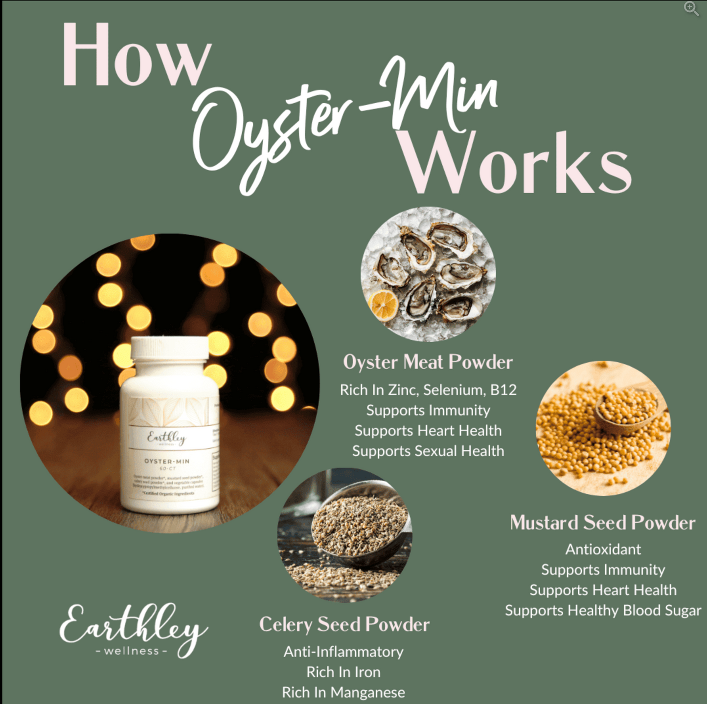 Oyster Min For Minerals and Hormone Balance