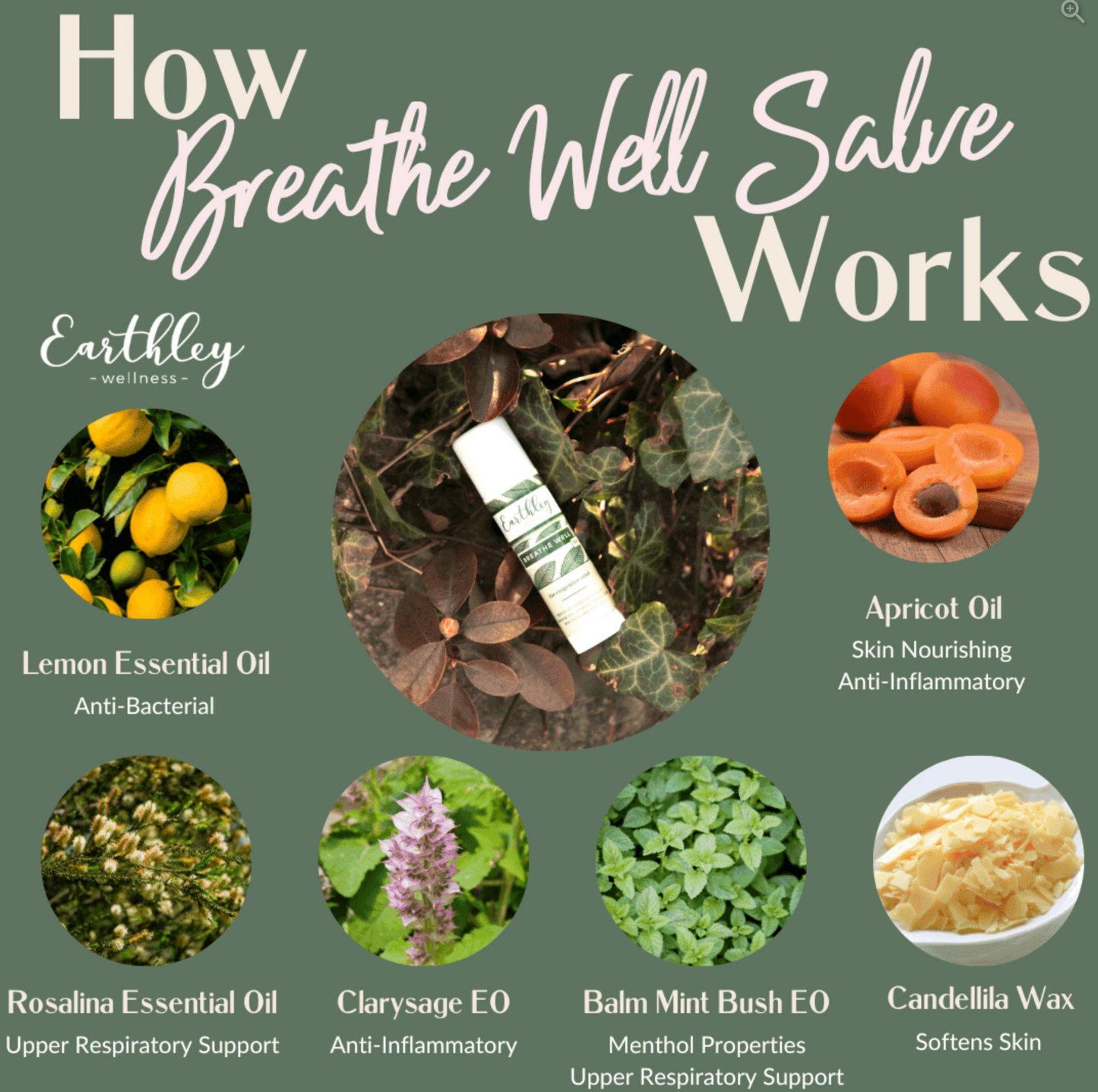 Breathe Well Salve To Promote Clear Breathing