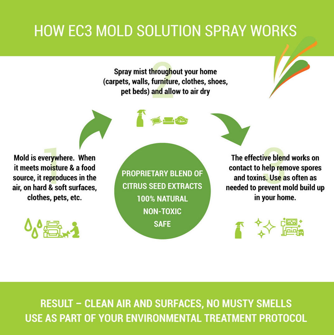 EC3 Mold Solution Spray