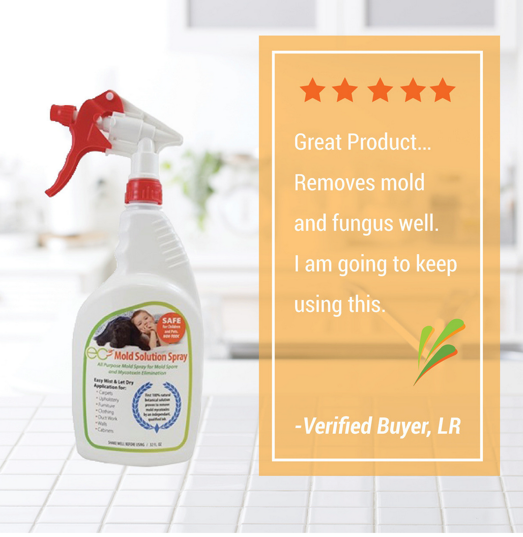 EC3 Mold Solution Spray