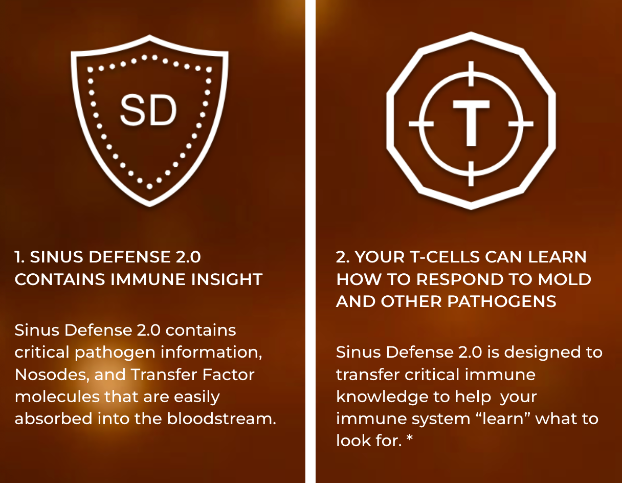 Sinus Defense 2.0