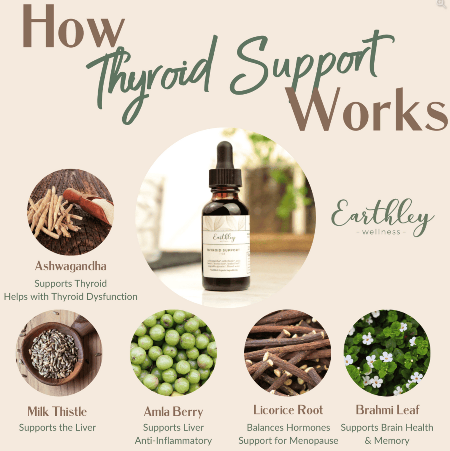 Thyroid Support For a Healthy, Balanced Thyroid