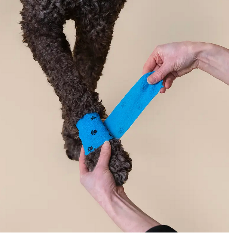 Patch Pet Eco First-Aid Kit For Pets