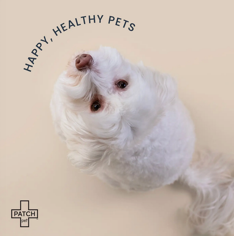 Patch Pet Eco On-The-Go Travel Bandage Kit For Pets