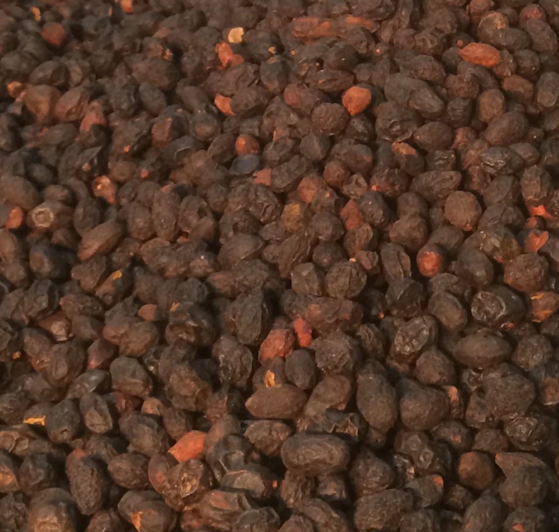 Saw Palmetto - Organic - Prostate Love