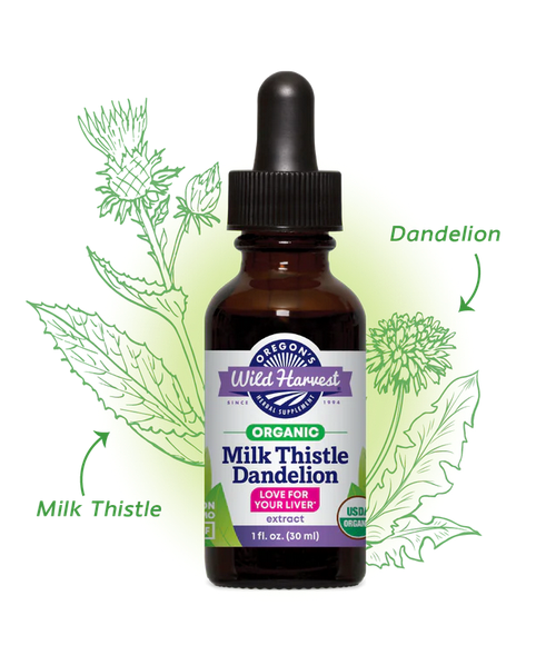 Milk Thistle Dandelion, Organic Extract - Love for your Liver