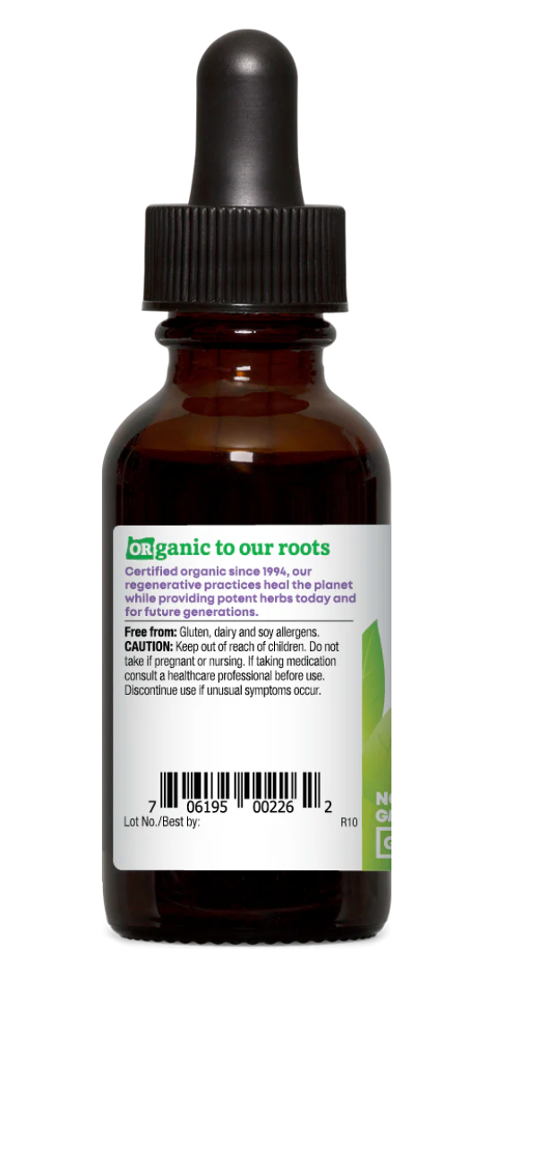 Turmeric Tincture - Anti-Inflammatory