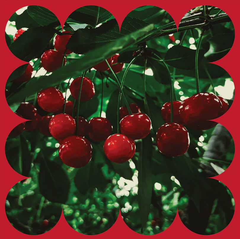 Tart Cherry Juice Concentrate