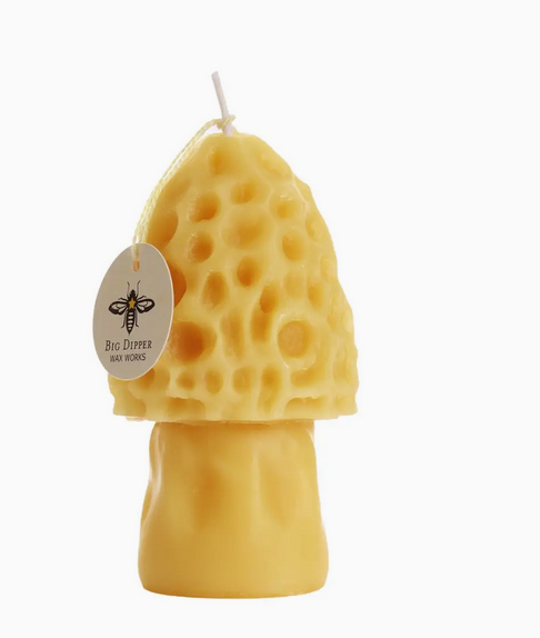 Byewas Sampioen Kers