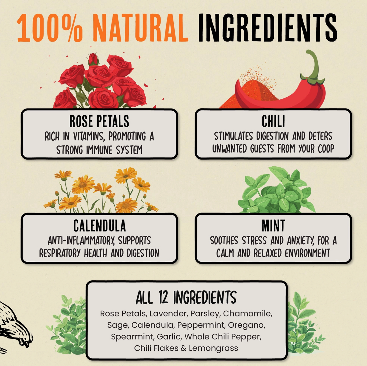 Chicken Nesting Herbs | Pest Repellent | For Chicken Coops