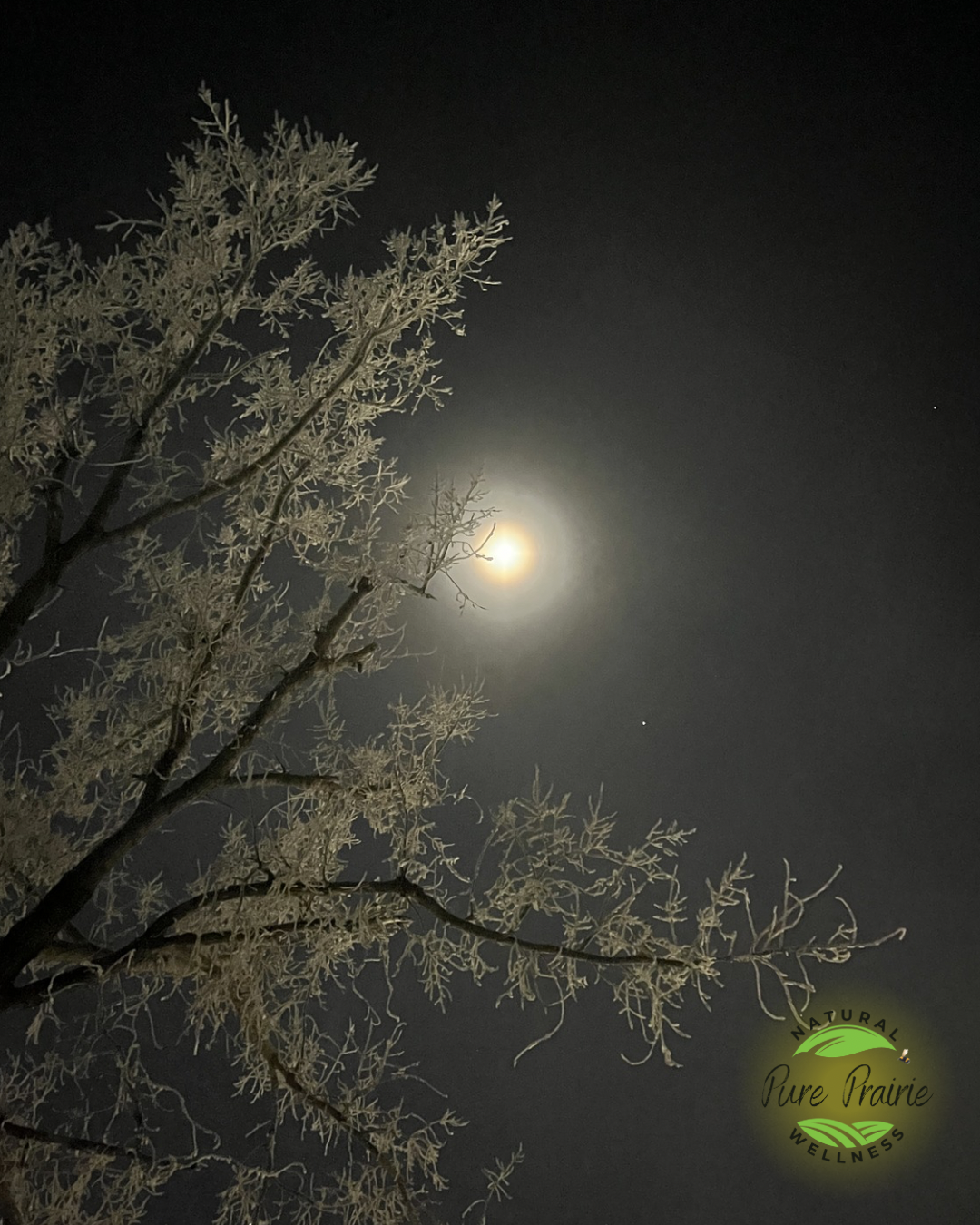 Men, Women & the Moon: The Lunar Biology We All Share