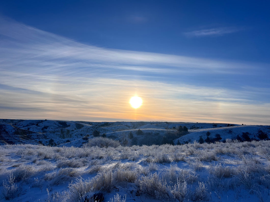 Our Roots: Born from Grit, Rooted in the Prairie