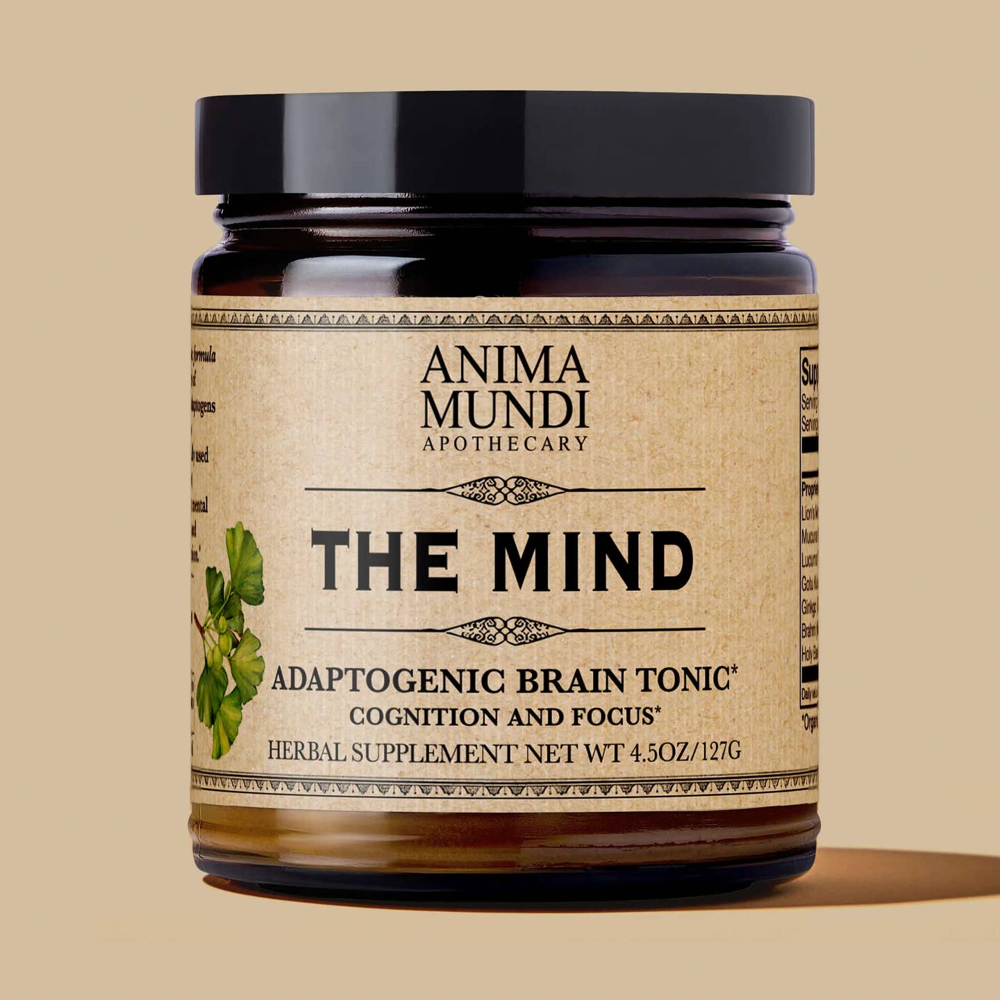 The Mind | Cognition + Focus*