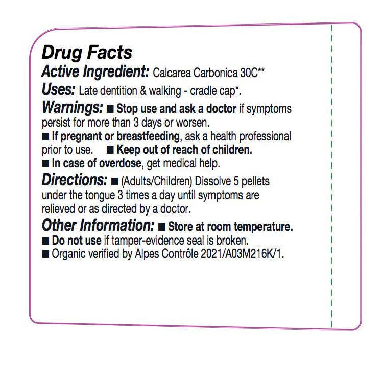 Olloïs Calcarea Carbonica 30C Lactose-Free Organic, 80 Pelts