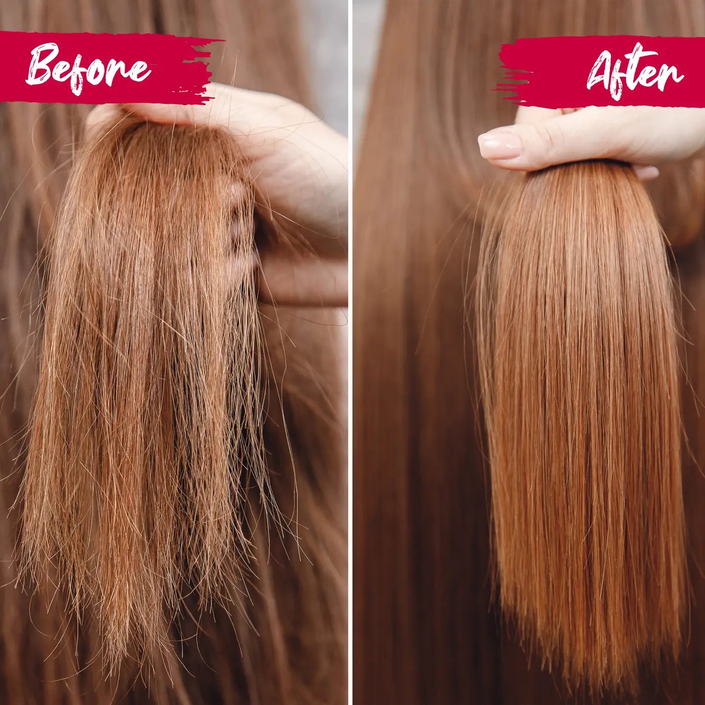 Shampoo Bar & Conditioner Bar | Haircare Duo