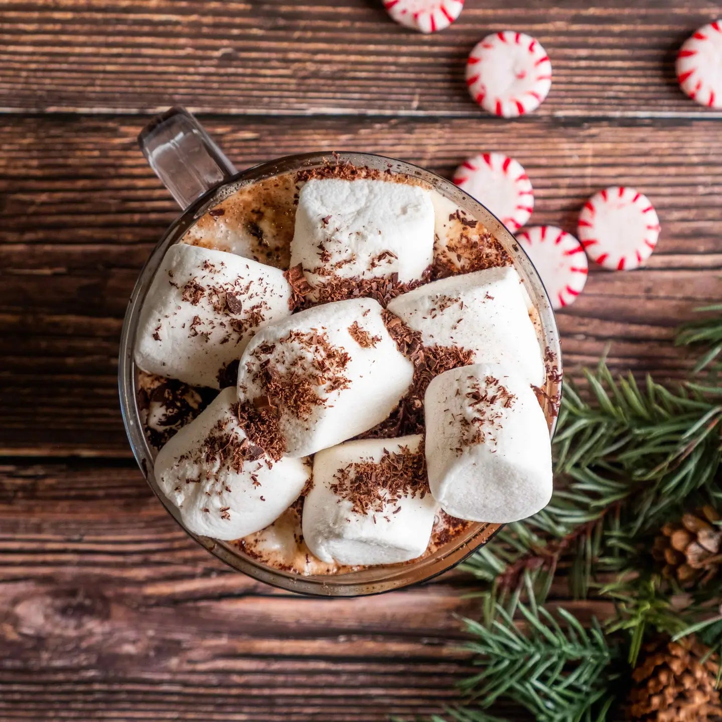 Dairy Free & Vegan Peppermint Hot Cocoa Mix - 9.52 oz. Bag