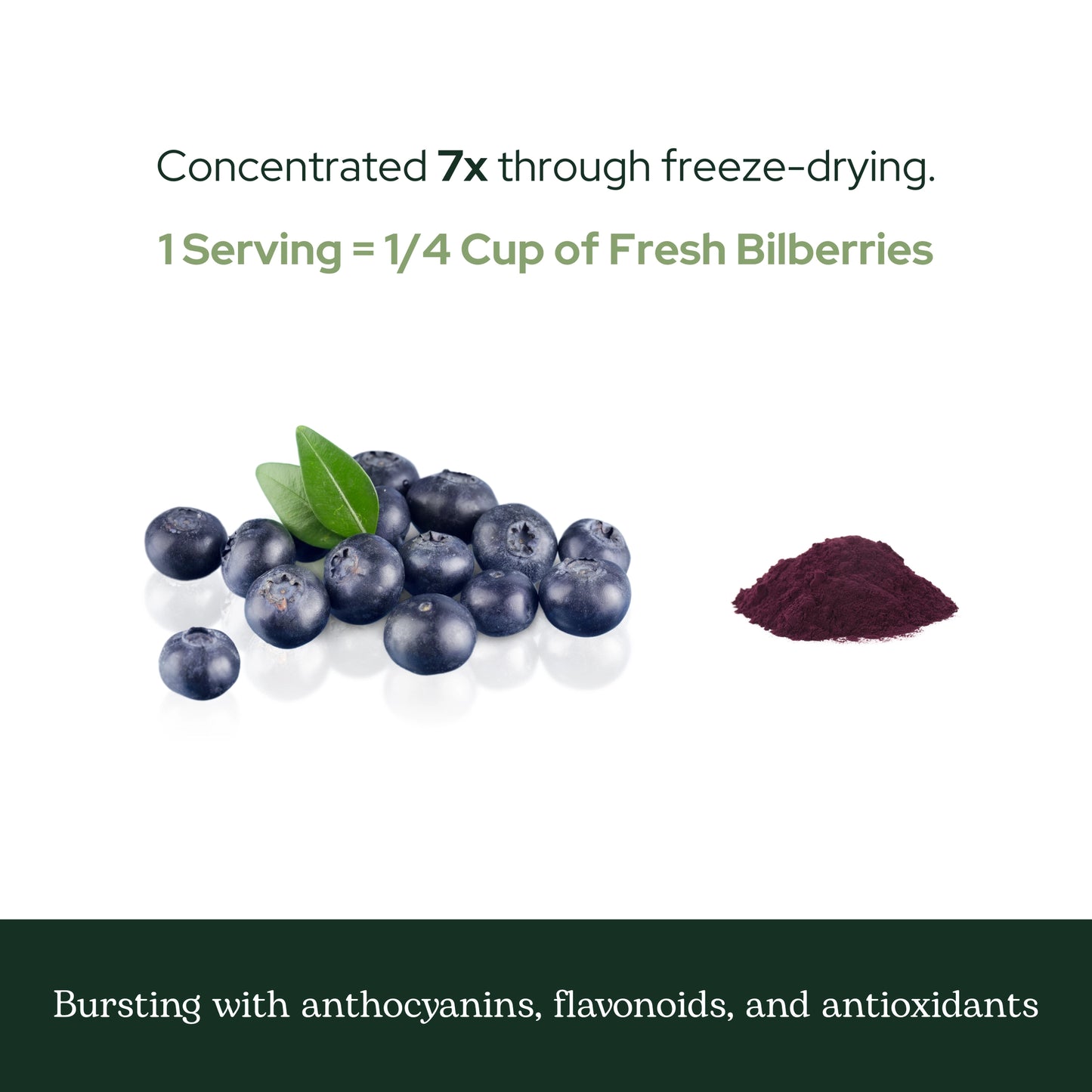 Bilberry Powder