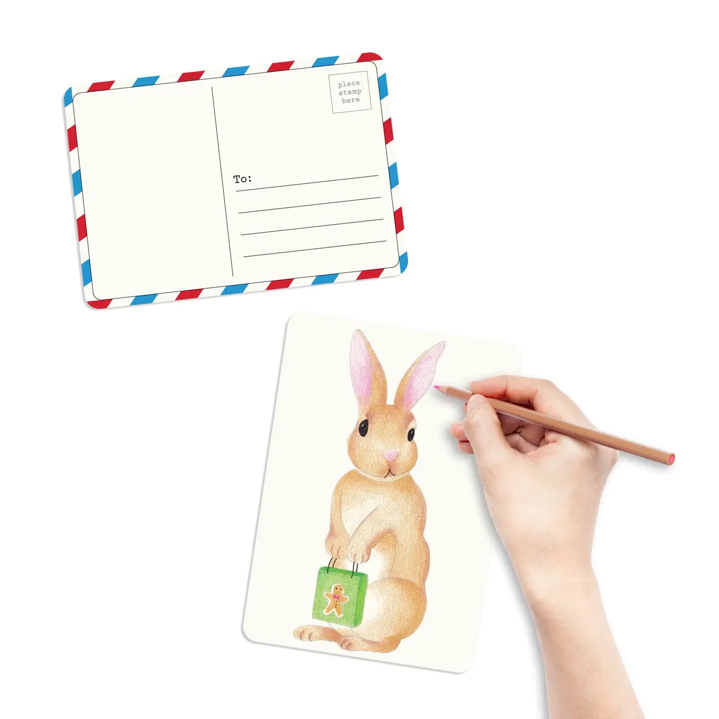 Coloring Postcards w/ 6 Winter Animal Designs (30cards)