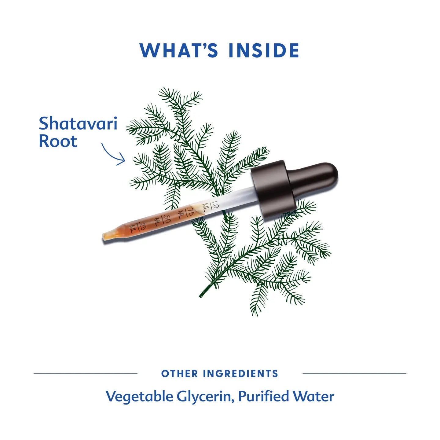 Shatavari 2oz Tincture