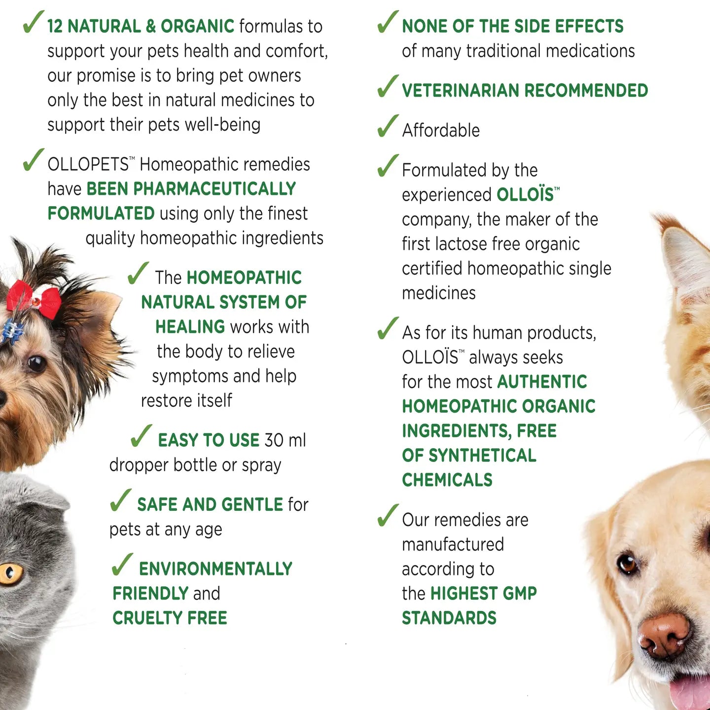 Dental Spray Homeopathic Spray For All Pets, 30ml Ollopets