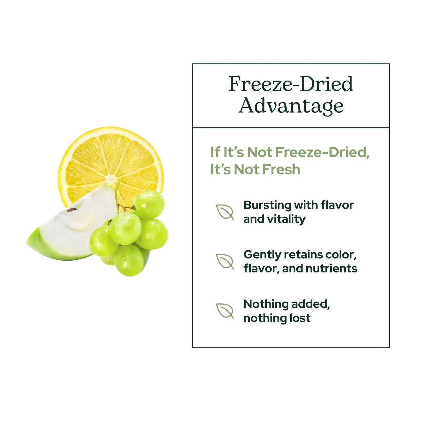 Quercetin Flavonoid Complex Powder