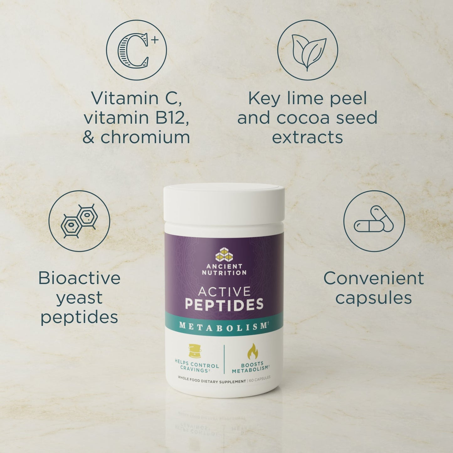 Active Peptides Metabolism