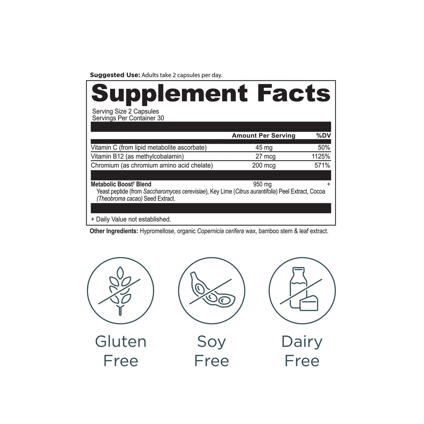 Active Peptides Metabolism