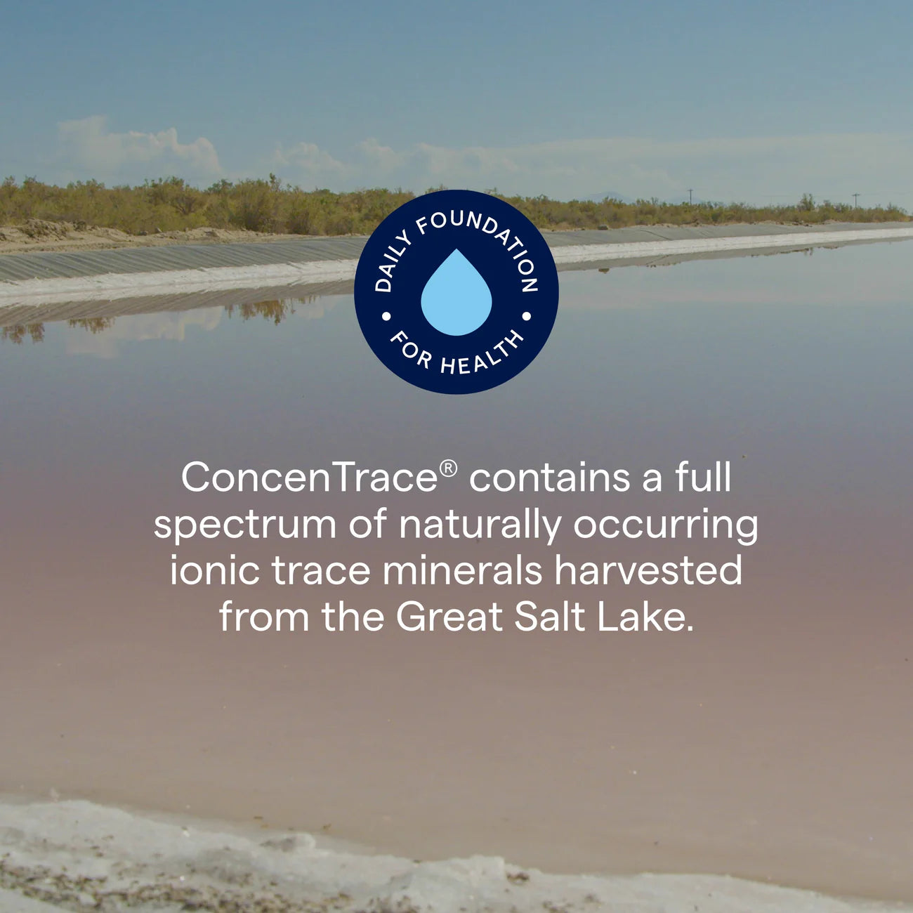 ConcenTrace Trace Mineral Drops
