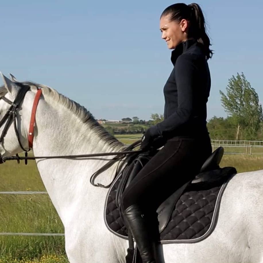 Herbal Horse Collar |  Protects & Repels Fleas, Ticks, Flies, Horseflies