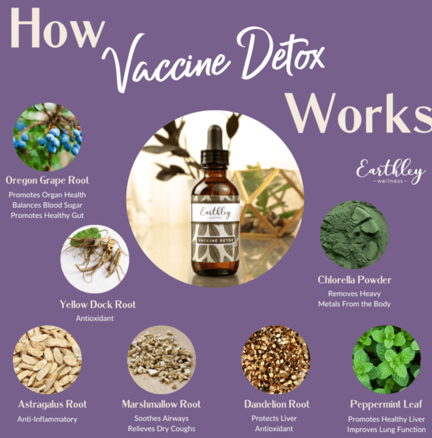 Vaccine Detox – For Heavy Metals and Gut Healing
