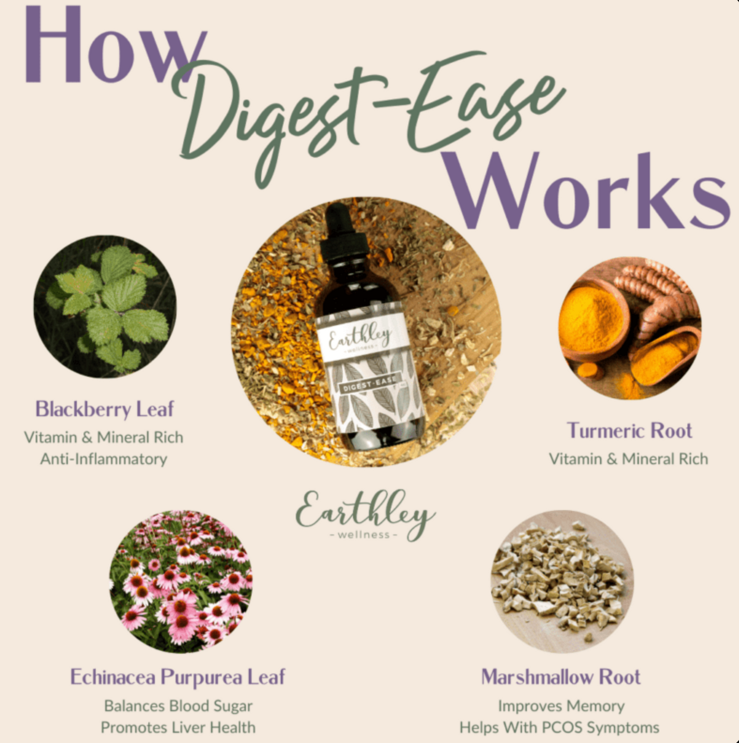 Digest-Ease - For a Healthy (Lower) Gut