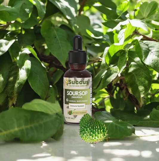 Soursop (Graviola) Tincture - Immune System (High Potency)